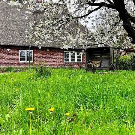 Ferienwohnung Elbkoje Drage  Exterior foto