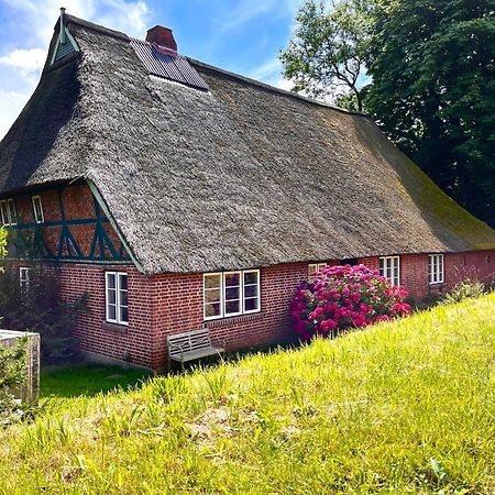 Ferienwohnung Elbkoje Drage  Exterior foto