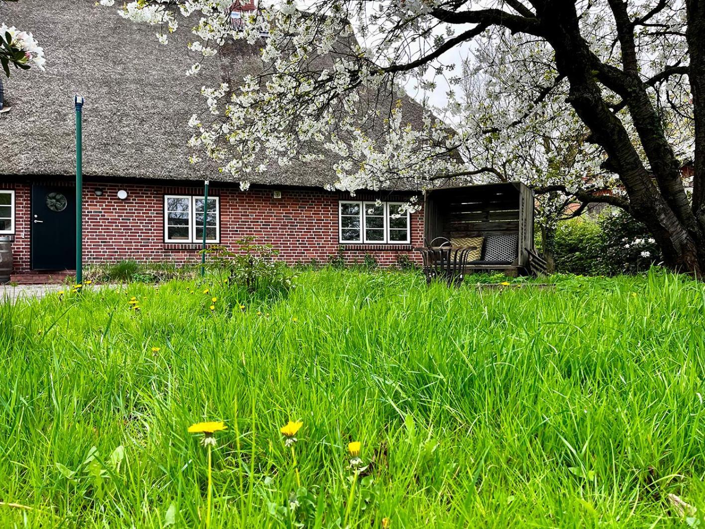 Ferienwohnung Elbkoje Drage  Exterior foto