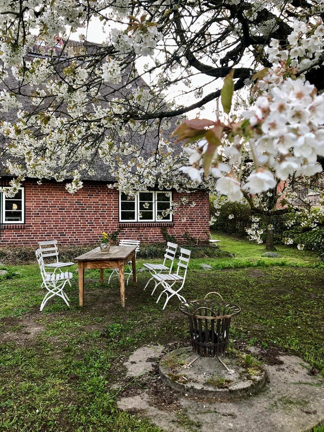 Ferienwohnung Elbkoje Drage  Exterior foto