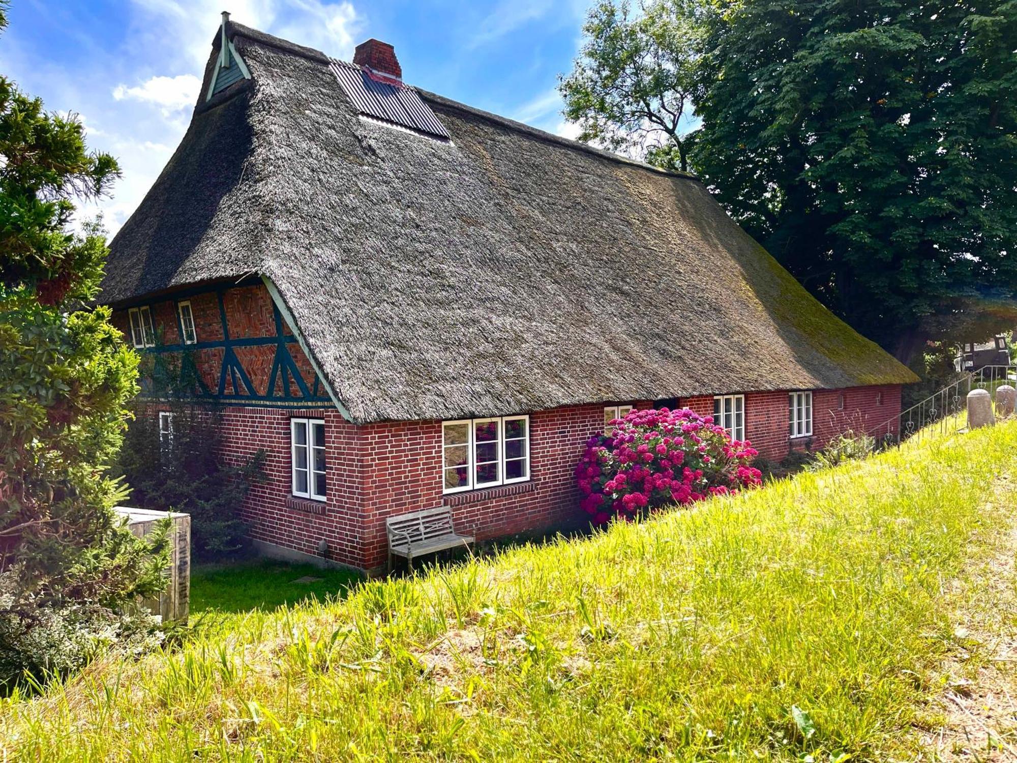 Ferienwohnung Elbkoje Drage  Exterior foto